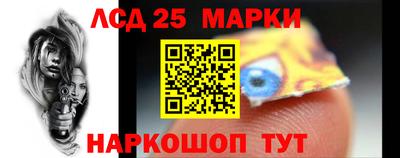 прущие грибы Кандалакша
