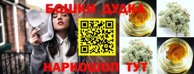 прущие грибы Кандалакша