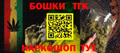 прущие грибы Кандалакша