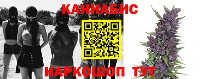 прущие грибы Кандалакша