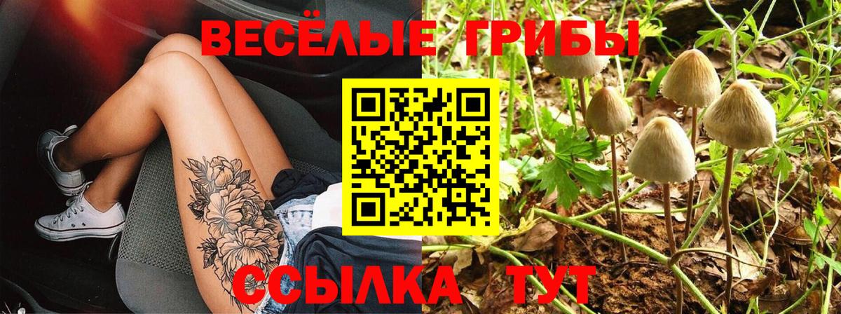 Галлюциногенные грибы Cubensis Кувандык